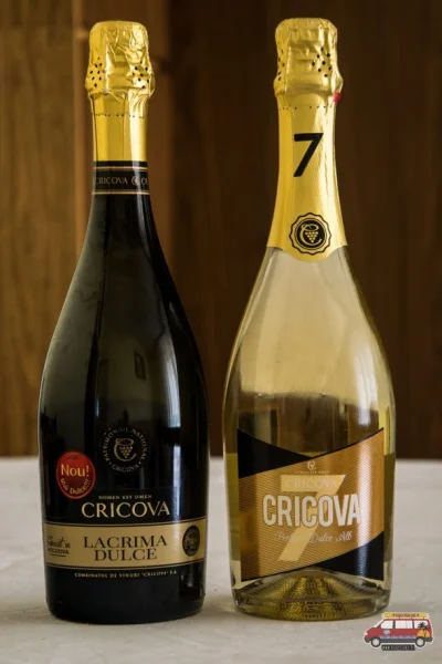 MG78 - Cricova słynie z produkcji win musujących metodą szampańską. Niestety w Polsce...