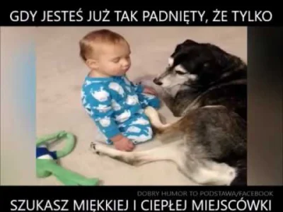 CwanyKurczak - #nocnazmiana #heheszki #humorobrazkowy #humor #zwierzaczki