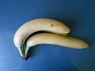 Cykuzio - Oto prawie prosty #banan oraz banan do skali. Pozdrawiam