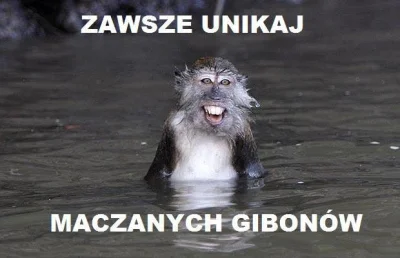 pogop - #oswiadczenie #heheszki #humorobrazkowy #narkotykizawszespoko #gibony #zwierz...