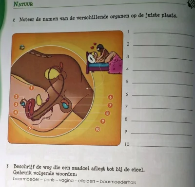 Manah - Podręcznik szkolny w Holandii xd. #bekazlewactwa #4konserwy #edukacjaseksualn...