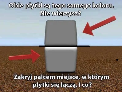 N.....i - Czarna linia to miejsce w którym płytki się łączą. Jedno z płytek ma jasną ...