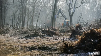 marzycieliwykopek - Dewastacja trwa w najlepsze, a sprawcy pozostają bezkarni i jeszc...