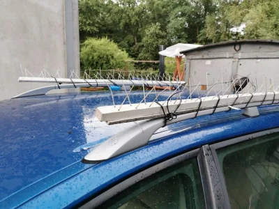 goferek - WIESIU ŻUREK SE ZROBIŁ ZABESPIECZENIE ŻEBY MU GOŁĄBIE I INNE TAPCTWO NIESIA...