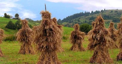 L.....i - > Jesteś ateistą (lub szerzej: niekatolikiem) i nie idziesz ze święconką do...