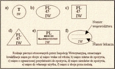 Tylko_noc - One nie są chore na wirusy/bakterie tylko mają jakieś defekty, sińce, odl...