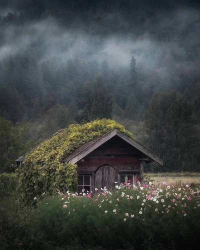 Castellano - Skagit Valley. Stany Zjednoczone
foto: Peterlundqvist
#fotografia #ear...