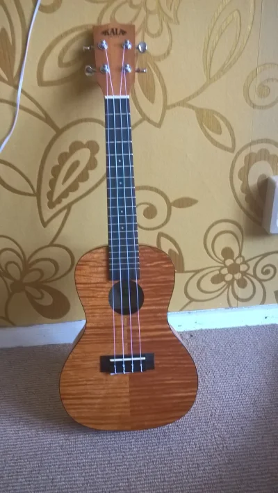 skowronek1990 - #pokazinstrument #ukulele
Moje maleństwo :)