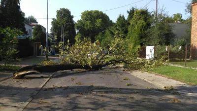 Eve_l - Na Julianowie jeszcze godzine temu leżały na drogach drzewa ;/