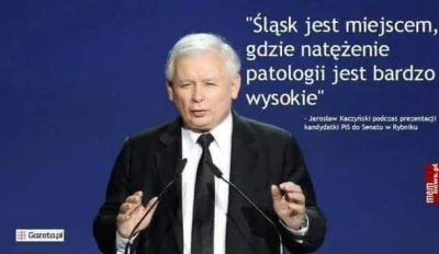 Zarzadca - No jak tam śląskie patusy? Twardy ten kopalniok do zgryzienia, nie?

#beka...