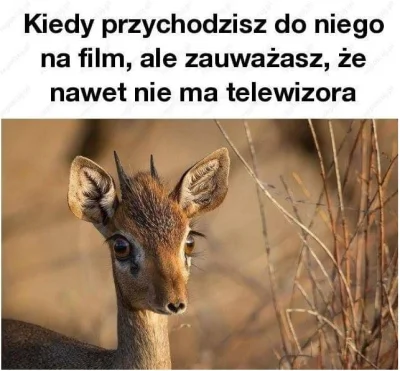 o.....o - Biedroń jest albo głupi ,albo naiwny jak ta sarenka...