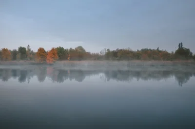 michael_ - Peryferia #poznan dzisiejszego ranka. Czternaste z #365klatek, zostało 351...