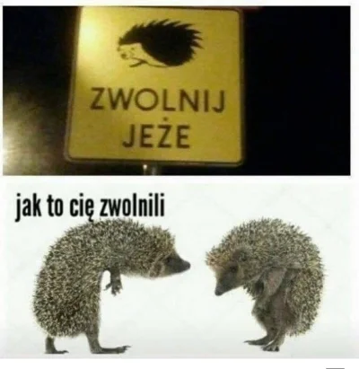 Bigoss - #heheszki #humorobrazkowy