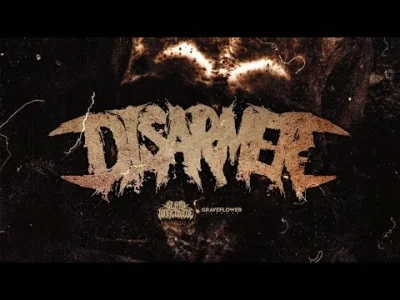 ciezka_rozkmina - Poranna dawka #!$%@? ᕙ(⇀‸↼‶)ᕗ
Disarmer - With Vigor
#deathcore #b...