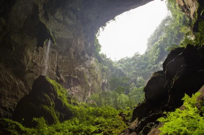 ThatFeel - #ciekawostki

Son Doong, największa jaskinia na świecie.