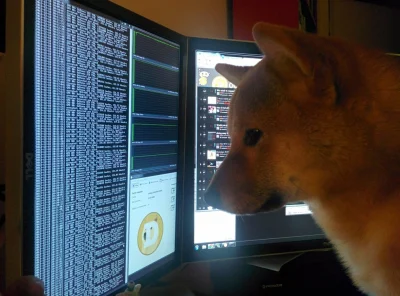 m.....i - #dogecoin