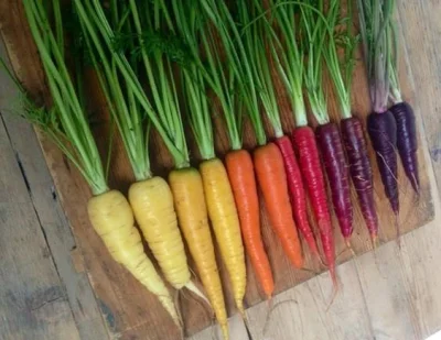 w.....z - #vegeporn #warzywa #marchewki #kolory