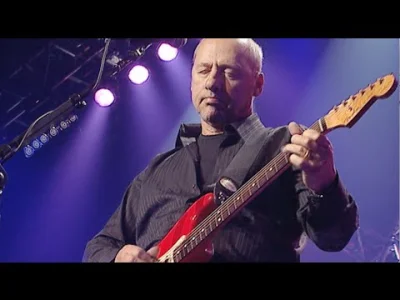 ljanik7 - #muzyka #knopfler