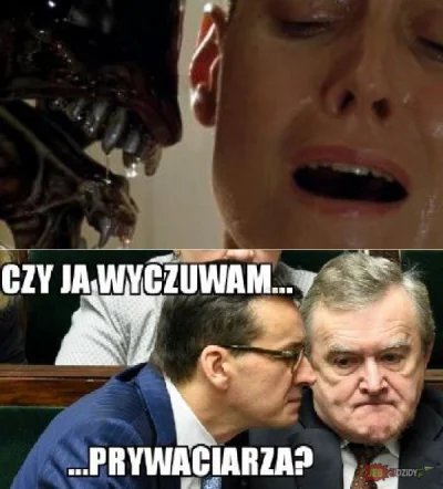 juzwos - ! #polska #polityka #pis #bekazapisu #dobrazmiana #Morawiecki #heheszki #tak...