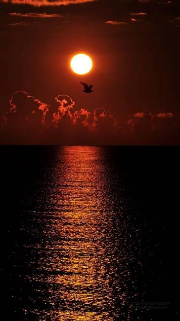 Kselen - Jak tam u was? Piękny zachód słońca ( ͡° ͜ʖ ͡°) heh
#zachodslonca #kosmos #...