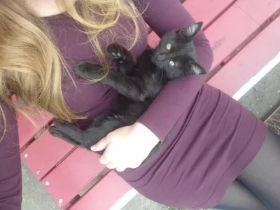 R.....a - dzisiaj upolowalam takiego 
#pokazkota