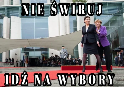 Willy666 - #polityka #wybory #wybory2019 #humorobrazkowy #heheszki