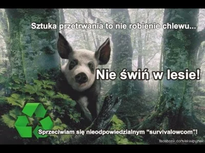 Niewiemja - > Chyba pierwszy

@JavaDevMatt: No tak średnio pierwszy. Środowiska bus...