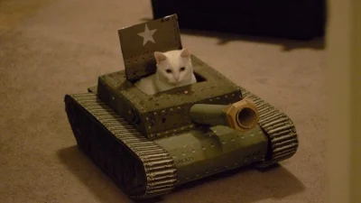 Atreyu - Jednostki pancerne gotowe do natarcia panie Admirale.

#koty #koteczkizprz...