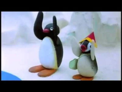 Colek - #nootnoot #pingu