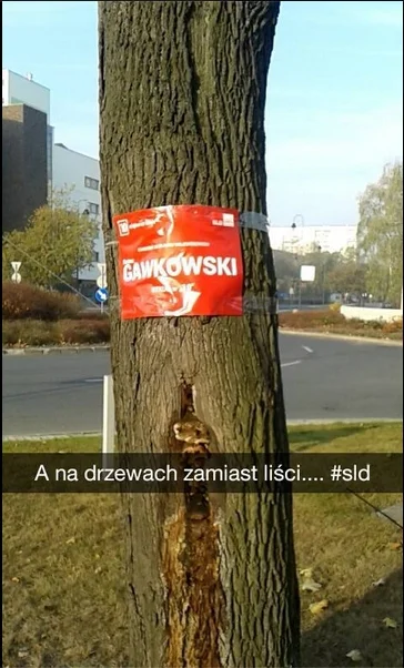 M.....k - #heheszki #bekazlewactwa #anadrzewachzamiastlisci



Prychłem srogo :D