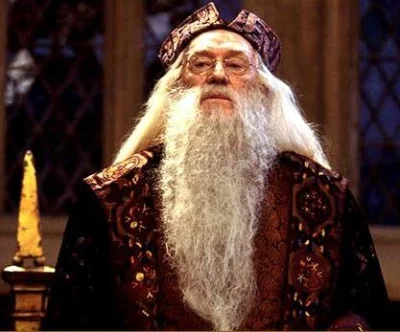 Gh0st - Jedyny prawilny Dumbledore
#harrypotter #takaprawda