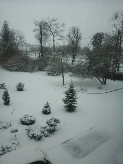 dziubdziajka - Oho, znowu popadało. Ciekawe tylko, kiedy się stopi i znowu będzie chl...