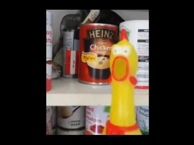 nobody_here - #chicken #heheszki #verticalvideosyndrome śmiechłem w #!$%@? ( ͡º ͜ʖ͡º)