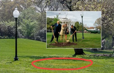 Czesterek - @robson3: Trzy drzewka zasadzone koło Białego Domu w Waszyngtonie przez p...