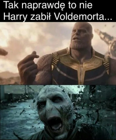 lesio - #harrypotter #heheszki #avengers #endgame

I co teras?