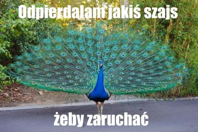 Trzesidzida - #heheszki #humorobrazkowy