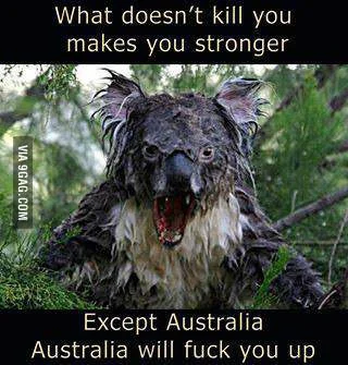 cuberut - Wiedziałem, że nieoficjalny slogan Australii to "Everything Trying to Kill ...