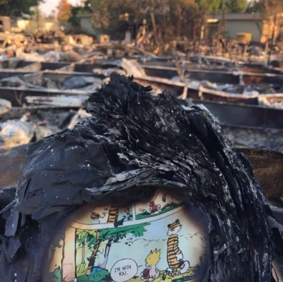 tomasz-szalanski - smutny obrazek znaleziony na zgliszczach spalonego domu

#histor...