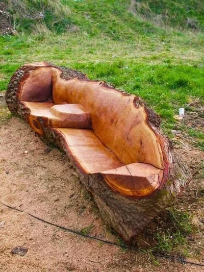 tslaw - #obrazek #drzewo #kanapa #sofa #lawka #pytanie

To się zalicza do sofy? ławki...