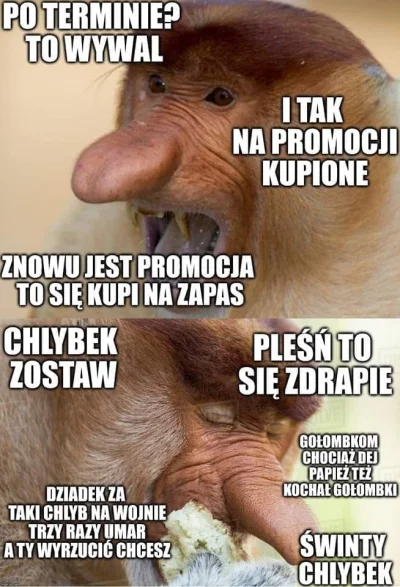 Krzysiekj220 - #heheszki #humorobrazkowy #nosaczsundajski #polak #nosaczfeeldajski #c...