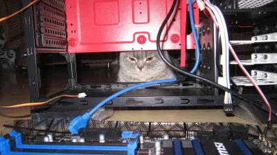 pogop - #komputery #koty #heheszki #humorobrazkowy - czuję potencjał w tym zdjęciu.