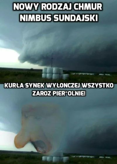 MieszamBigosGlowa - #nosaczsundajski
#burza
#heheszki
#humorobrazkowy