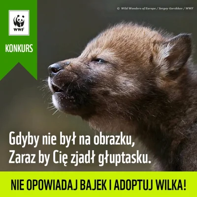 GraveDigger - #wilk #zwierzaczki #wwf