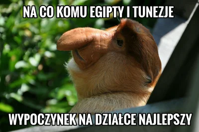 pogop - #pogopsuszy #heheszki #humorobrazkowy #polak #nosacz