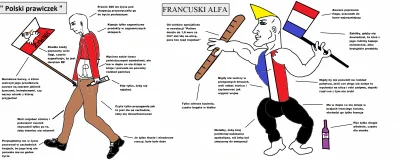 T.....e - Na fali francuskich protestów i dyskusji, jaka się przetoczyła przez portal...