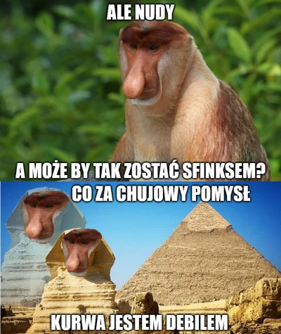 wlepierwot - #konkursnanajbardziejgownianymemznosaczem #heheszki #humorobrazkowy #gow...