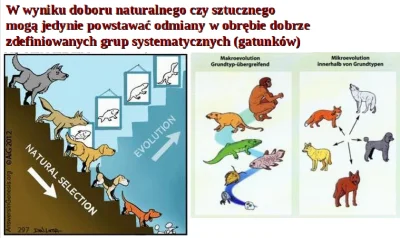 bioslawek - DOBÓR NATURALNY TO POMYSŁ PEWNEGO KREACJONISTY
 
CZY ISTNIENIE ZASADY D...