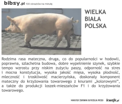 1488-ONR - @johny-kalesonny: szach mat lewaku, wielka polska biała istniała i ma się ...