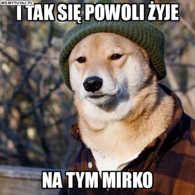 M.....k - ale bym sobie obejrzał takiego strima z kociołkiem i dymami ( ͡° ʖ̯ ͡°) #da...