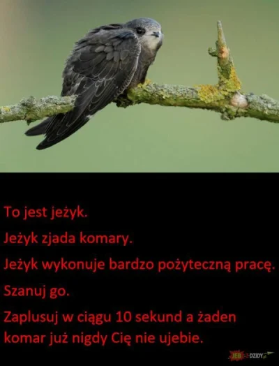 Wojownik04 - Przydałoby się
#heheszki #humorobrazkowy #glupiewykopowezabawy